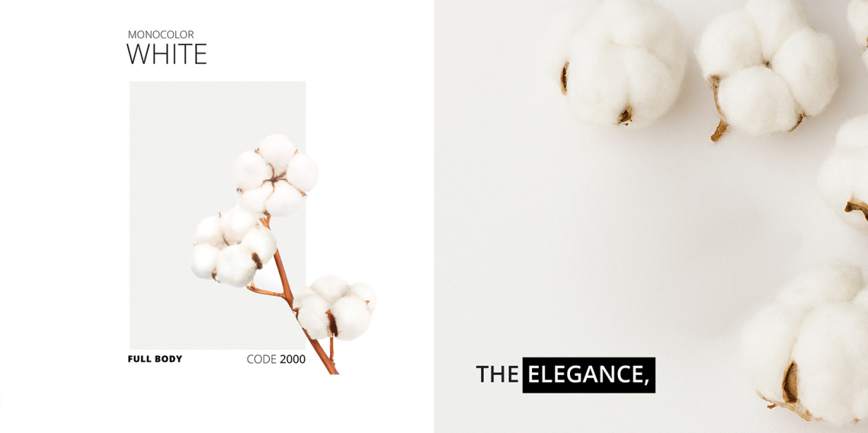 سرامیک مونوکالر سفید - Monocolor White