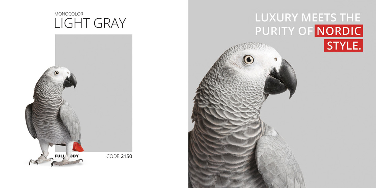 مونوکالر طوسی روشن - monocolor light gray